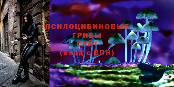 метамфетамин Медвежьегорск