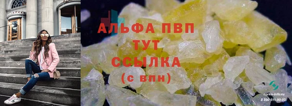 ECSTASY Няндома