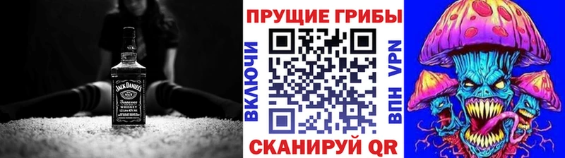 кракен   Новотроицк  Псилоцибиновые грибы Magic Shrooms 