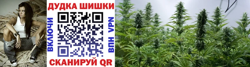 наркошоп  Новотроицк  Бошки марихуана планчик 